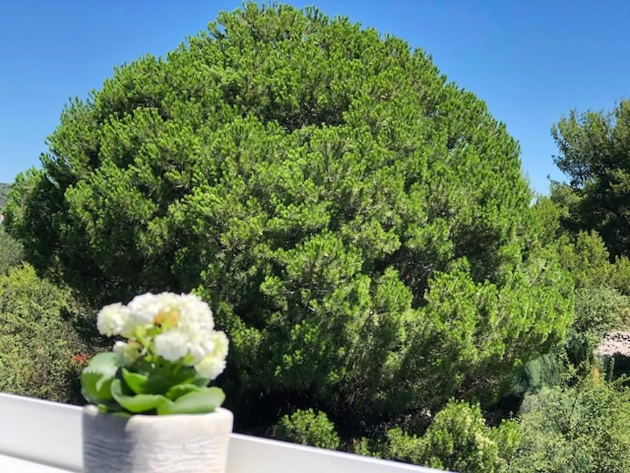 Tandara Apartments Trogir