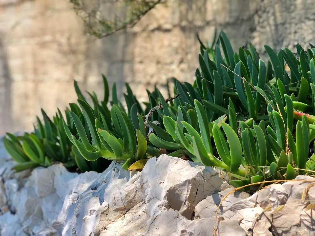 Tandara Apartments Trogir Kroatien
