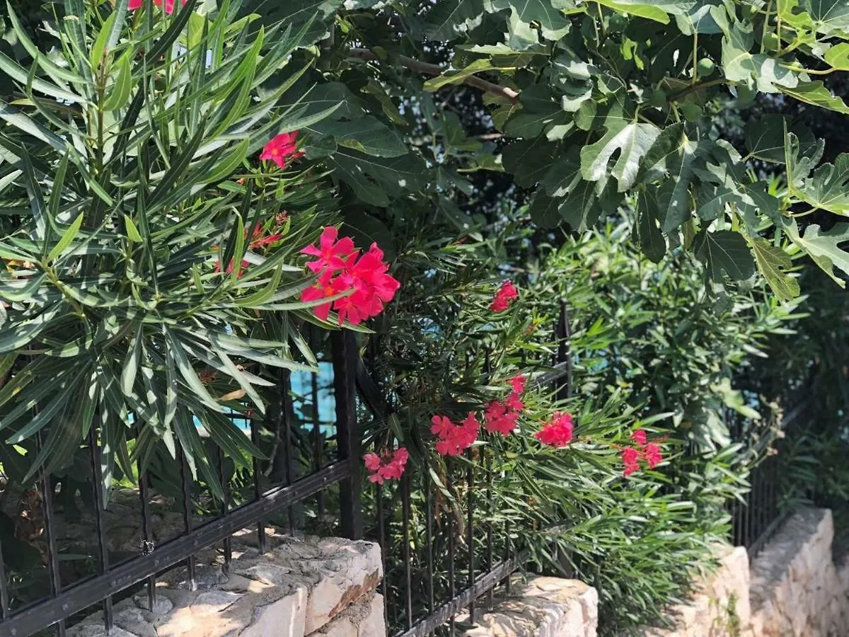 Tandara Apartments Trogir