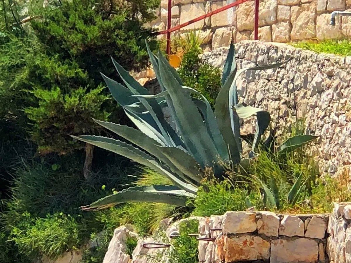 Tandara Apartments Trogir Kroatien